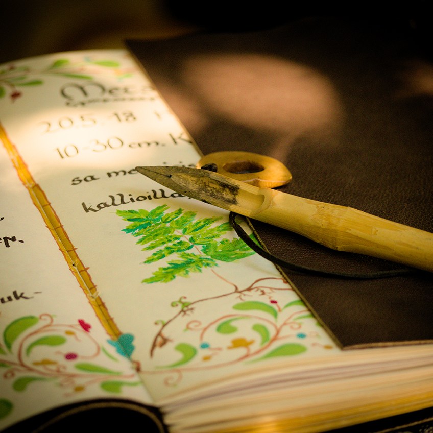 Käsin kirjoitettu ja kuvitettu kasvio ja vuoltu mustekynä